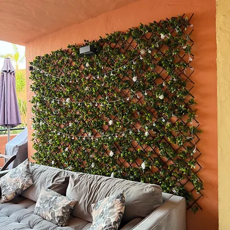 House Bermuda * Естепона